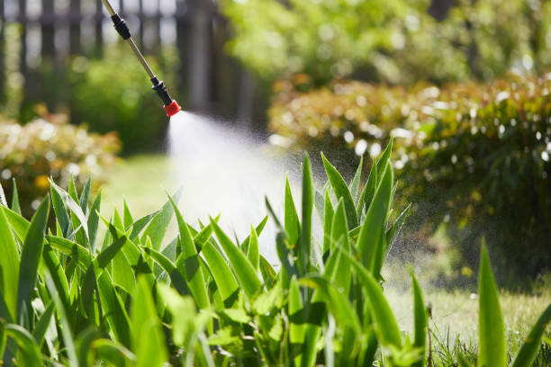Tamper-Resistant Bait Stations for Rodents in Hanover