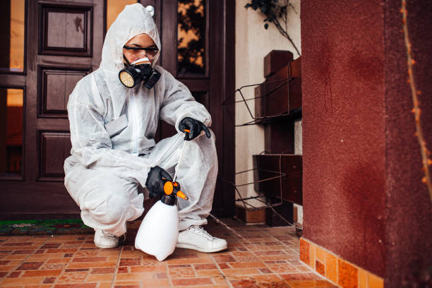 Attic and Crawl Space Rodent Treatment in Hanover