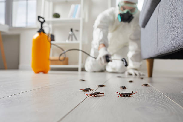 Commercial Rodent Management in Hanover